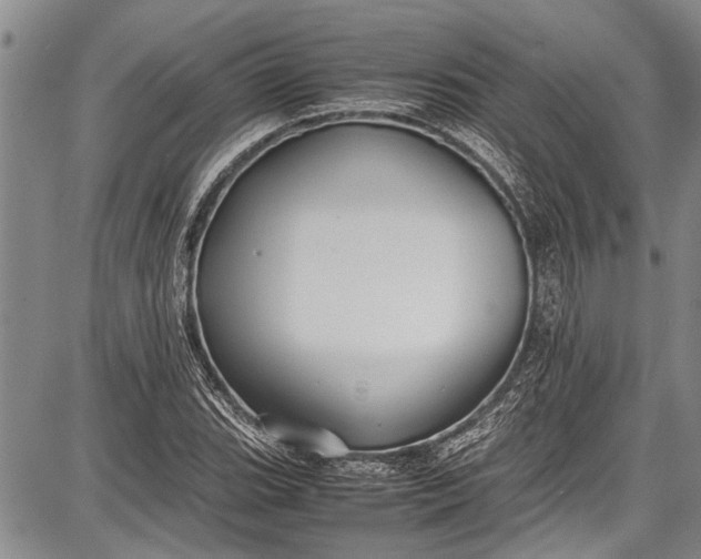 X0000087641119200705181518