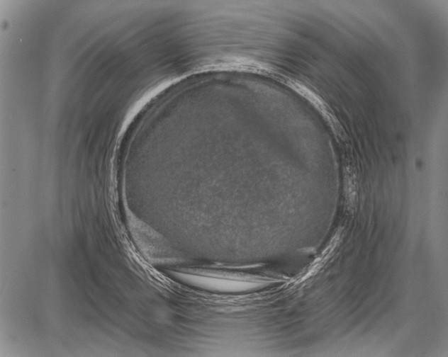 X0000087641120200705181518