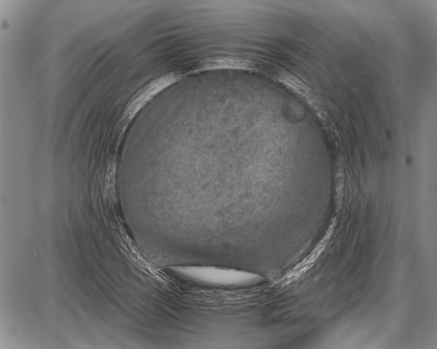 X0000087641121200705181518