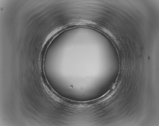 X0000087641122200705181519