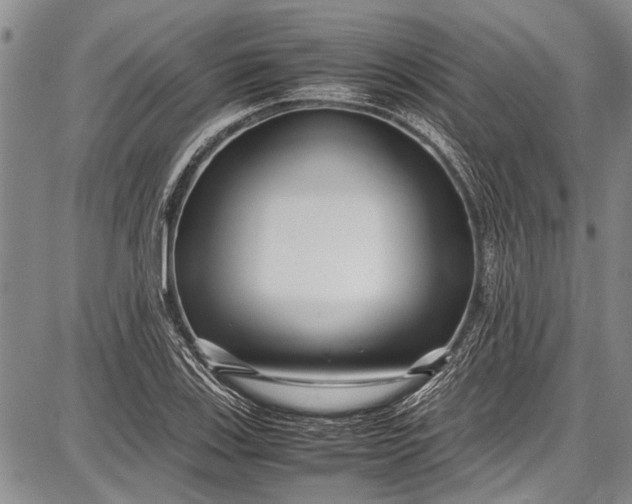 X0000087641123200705181519