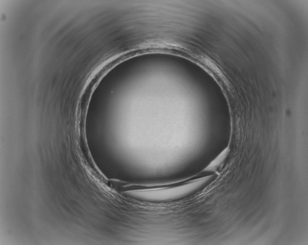 X0000087641124200705181519