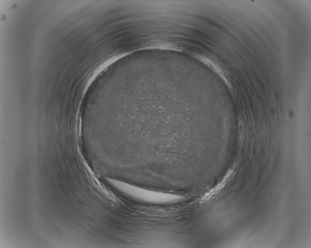 X0000087641125200705181519