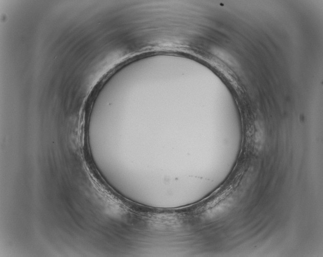 X0000087641126200705181519