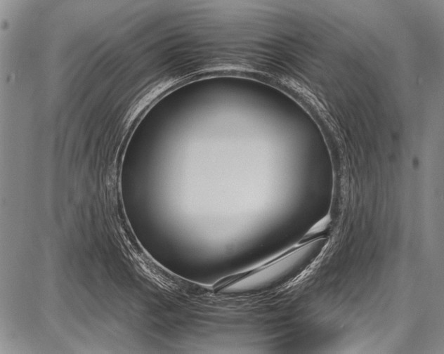 X0000087641129200705181519