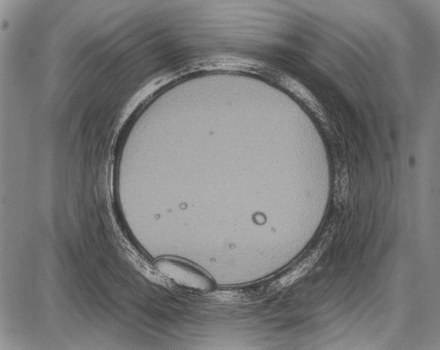 X0000087641130200705181519