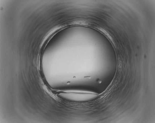 X0000087641131200705181519