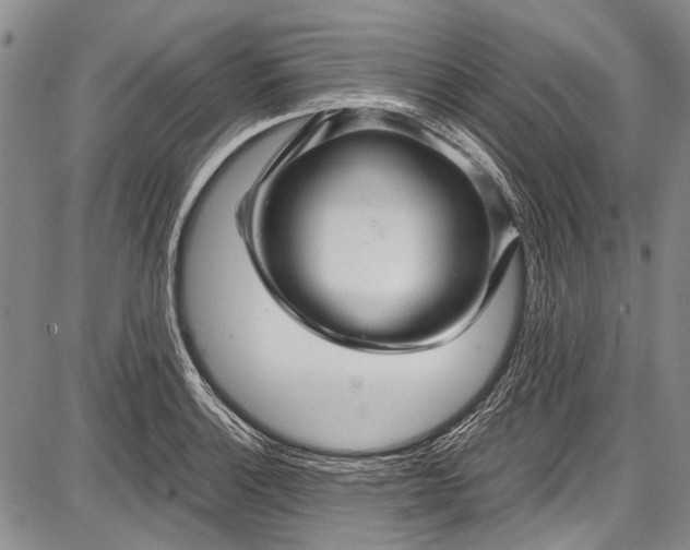 X0000087641132200705181519