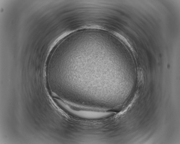 X0000087641133200705181519