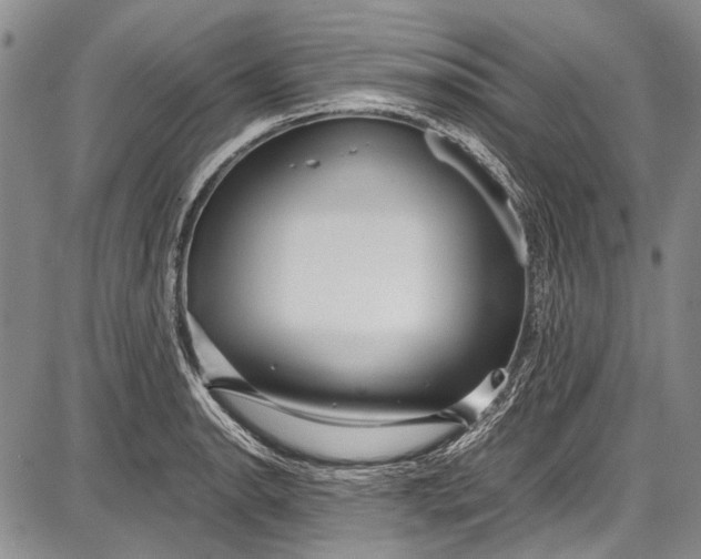 X0000087641134200705181519