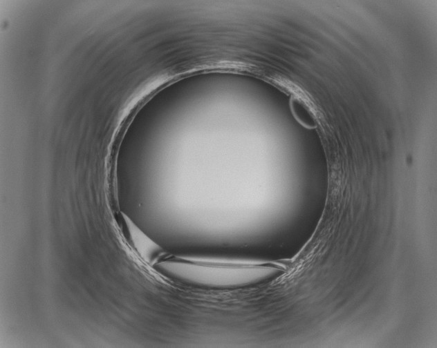 X0000087641135200705181519