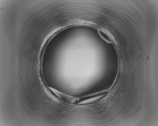 X0000087641136200705181519