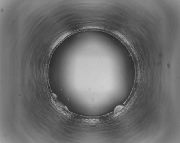 X0000087641137200705181519