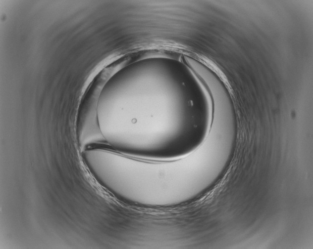 X0000087641138200705181519