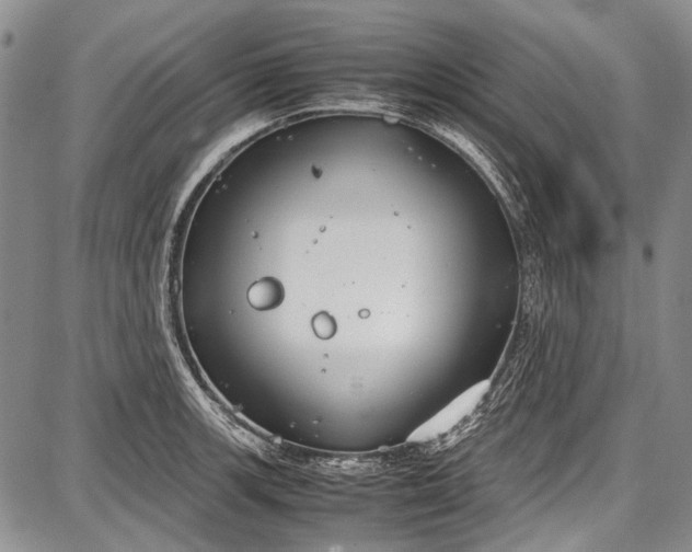 X0000087641139200705181519