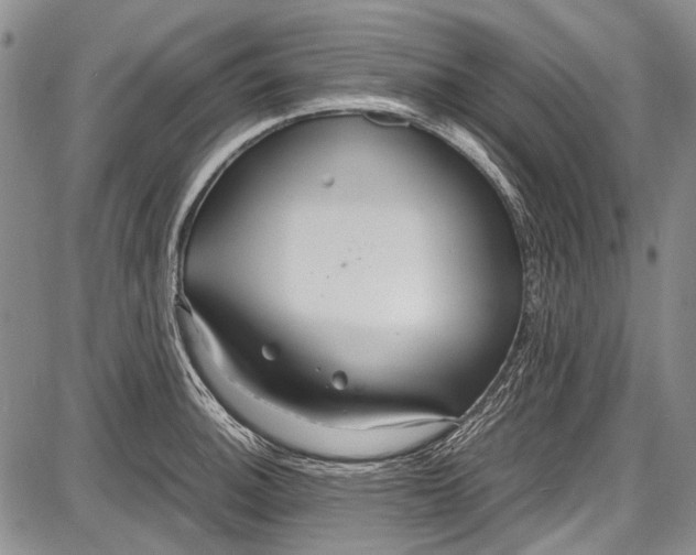 X0000087641140200705181519