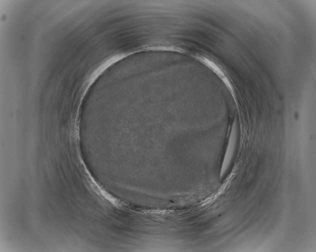 X0000087641141200705181519