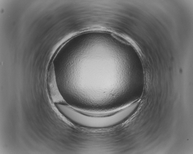 X0000087641142200705181519