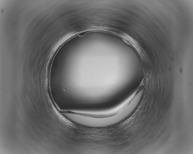 X0000087641143200705181519