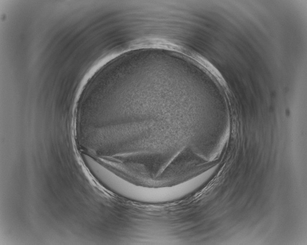 X0000087641144200705181519