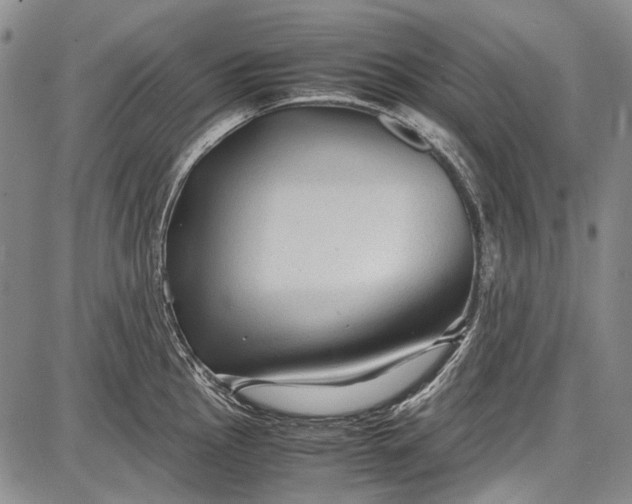 X0000087641145200705181519