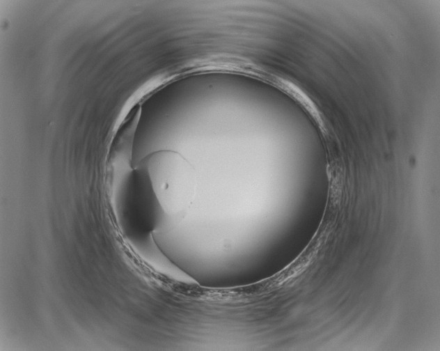 X0000087641146200705181519