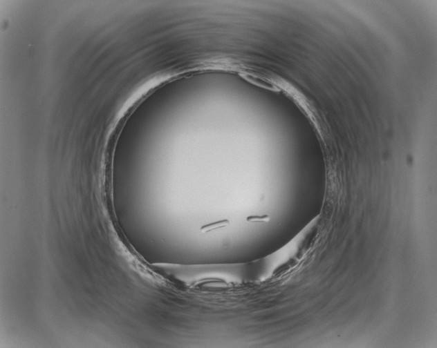 X0000087641147200705181519