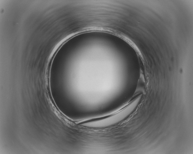 X0000087641148200705181519