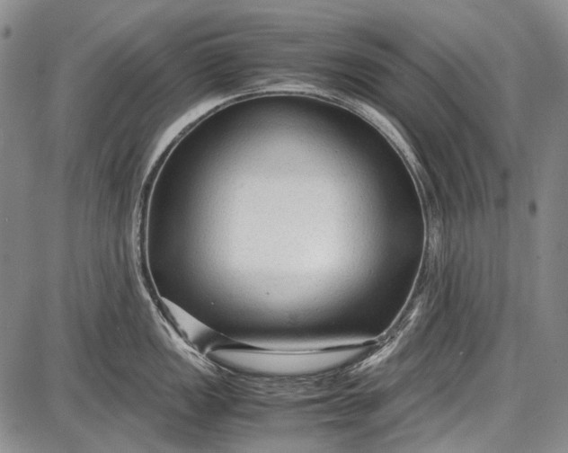 X0000087641149200705181519