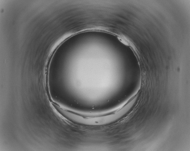 X0000087641151200705181519