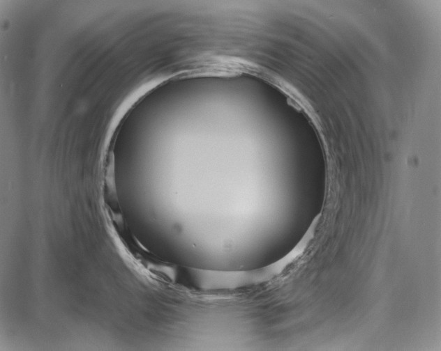 X0000087641152200705181519