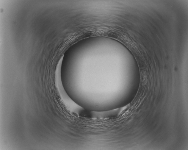 X0000087641153200705181518