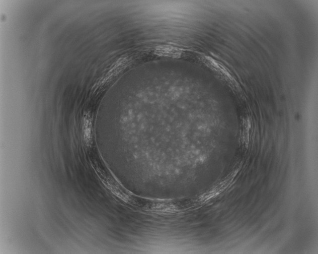 X0000087641154200705181518