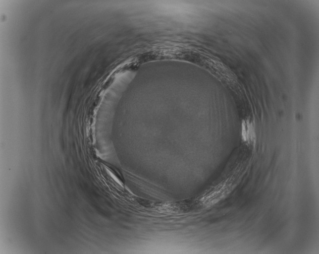 X0000087641155200705181518