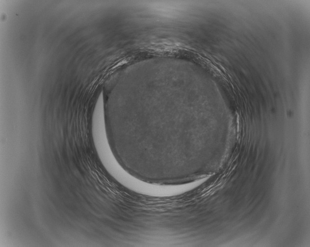 X0000087641156200705181518