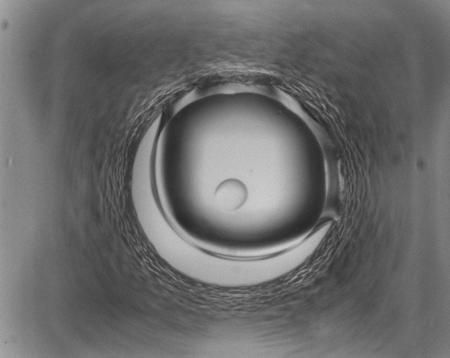 X0000087641157200705181518