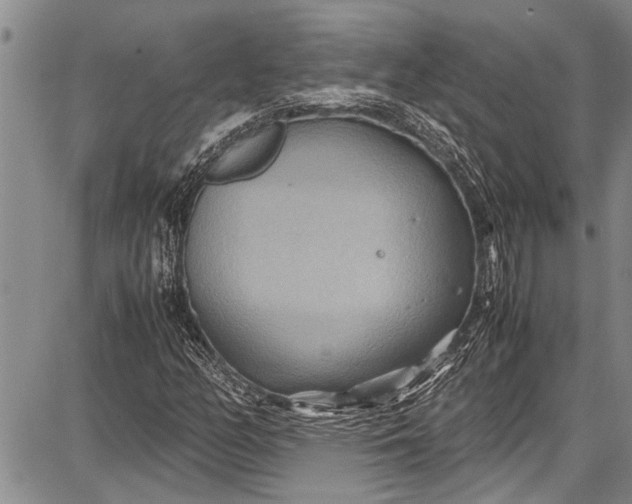 X0000087641158200705181518