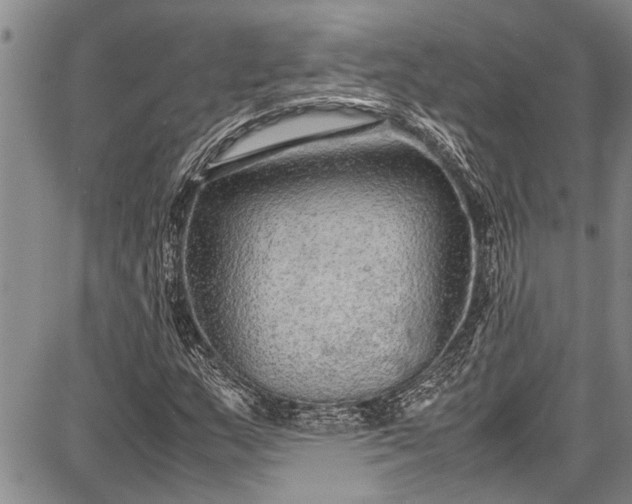 X0000087641159200705181518