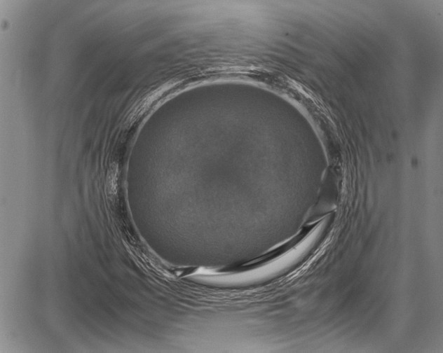 X0000087641161200705181518