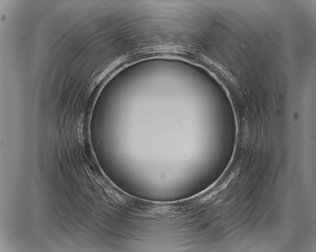 X0000087641162200705181518