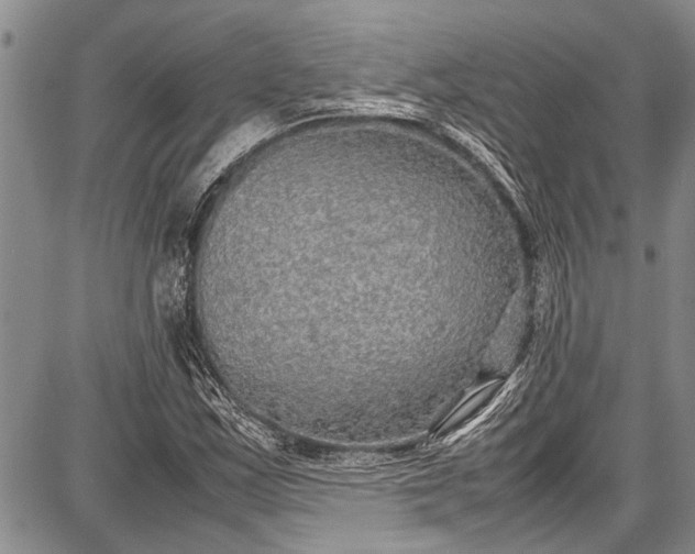 X0000087641163200705181518