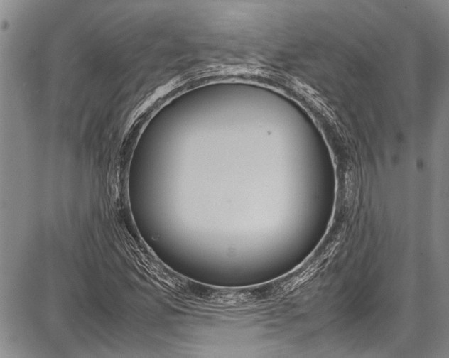 X0000087641165200705181518