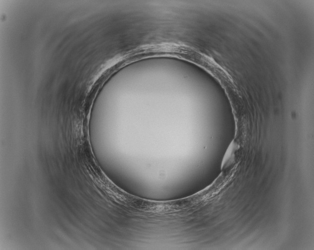 X0000087641166200705181518