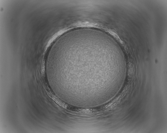 X0000087641167200705181518