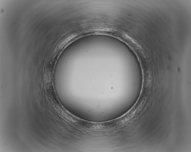 X0000087641169200705181518