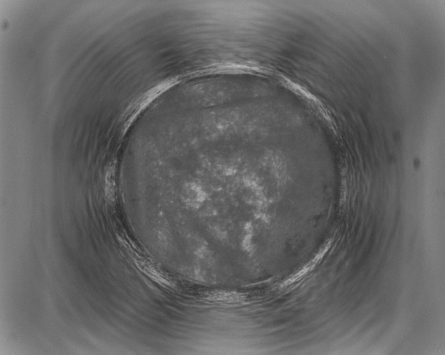 X0000087641170200705181518