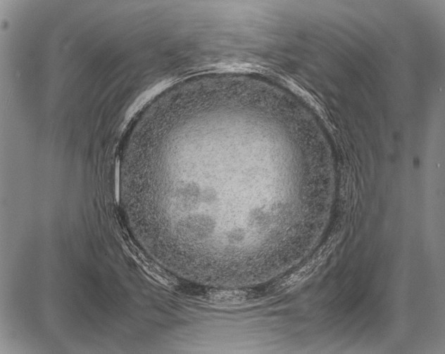 X0000087641171200705181518