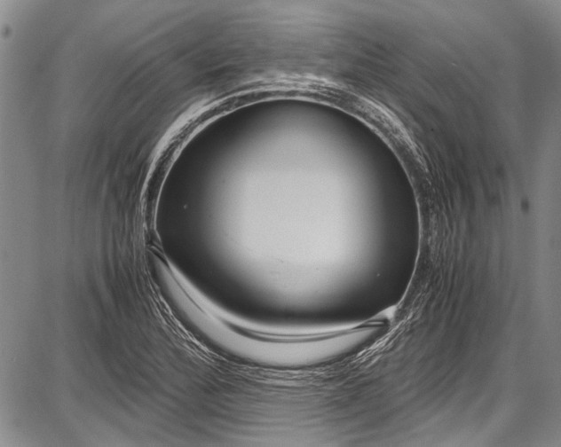 X0000087641172200705181518