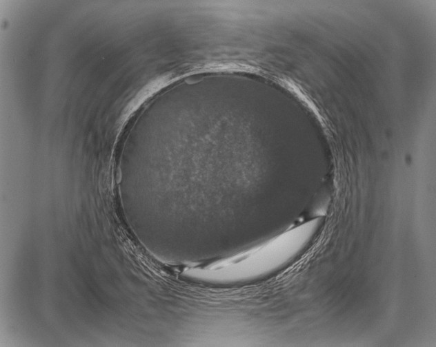 X0000087641173200705181518