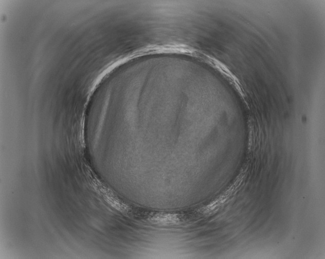 X0000087641174200705181518